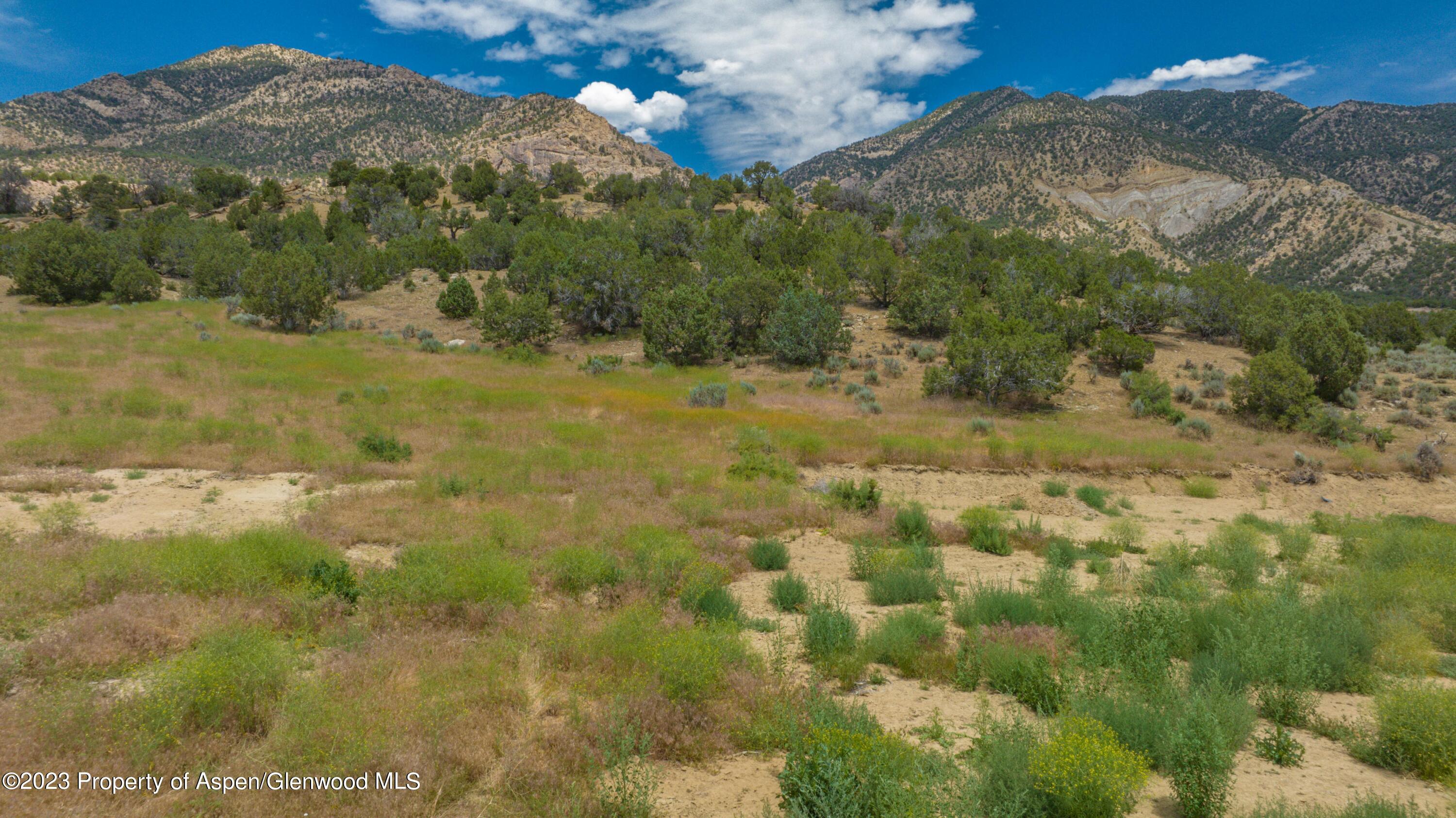1171 Scutter Lane Rifle, CO 81650 - Photo 2 of 8 a view of a yard with an trees