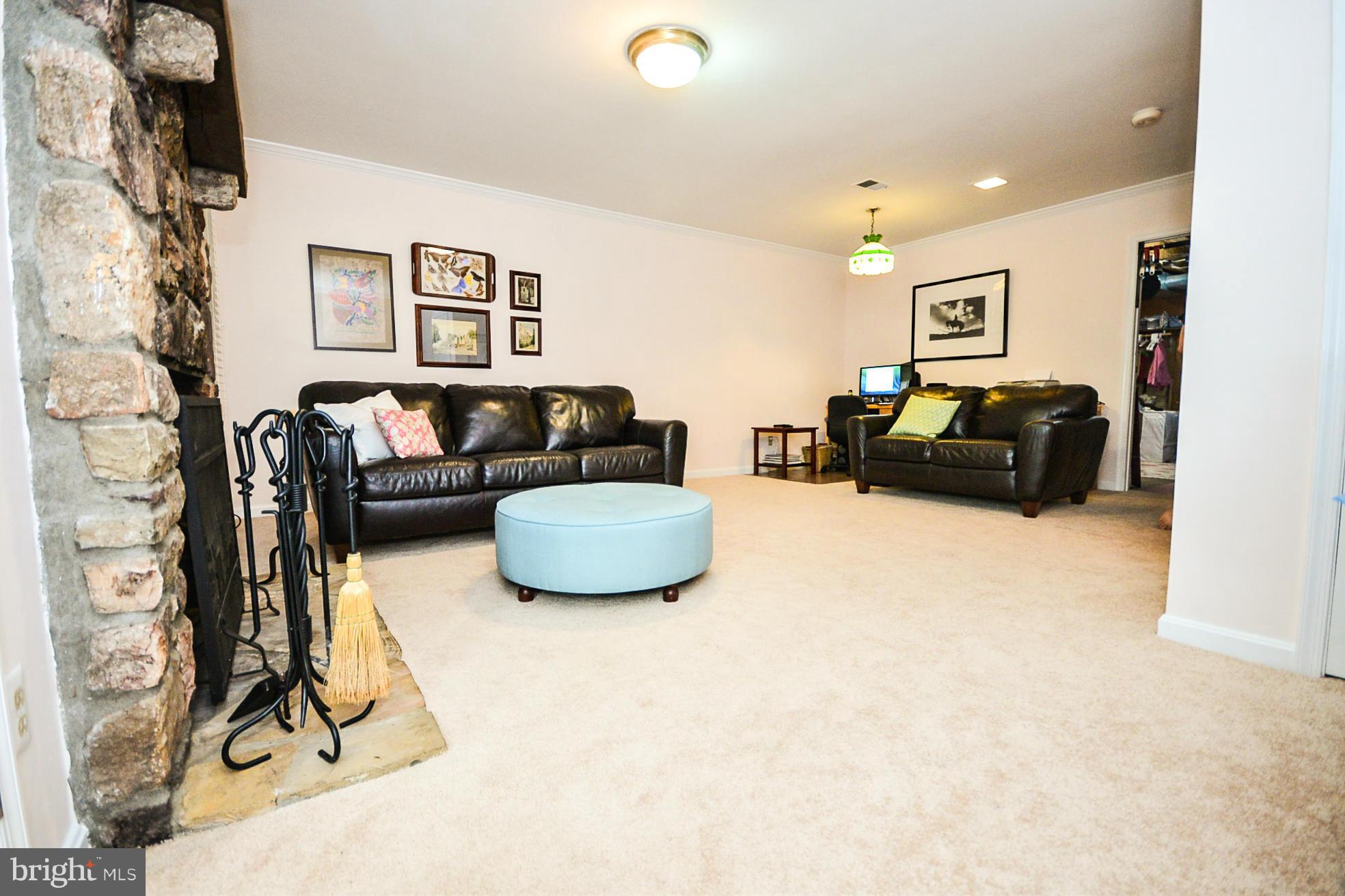 8420 Springfield Oaks Drive Springfield, VA 22153 - Photo 18 of 28 Basement