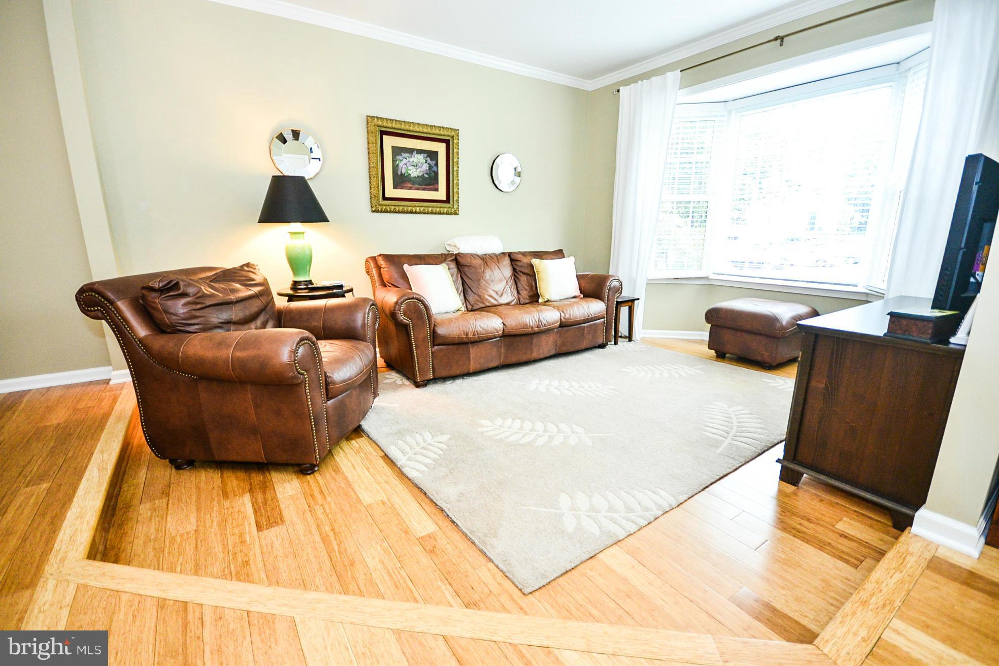 8420 Springfield Oaks Drive Springfield, VA 22153 - Photo 5 of 28 Living Room