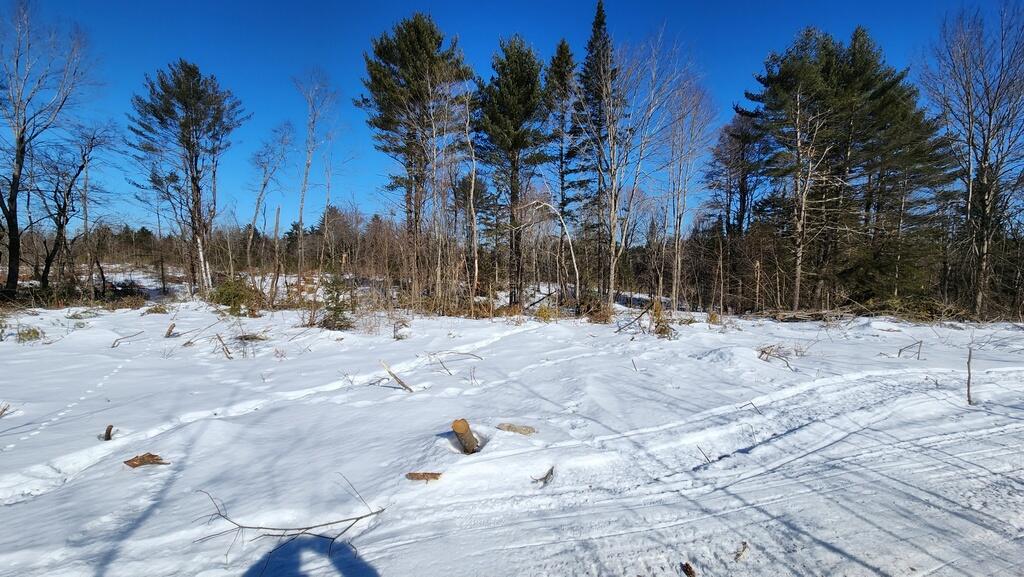 Lot 45 Embden Pond Road North Anson, ME 04958 - Photo 3 of 22 20240220_102358_resized