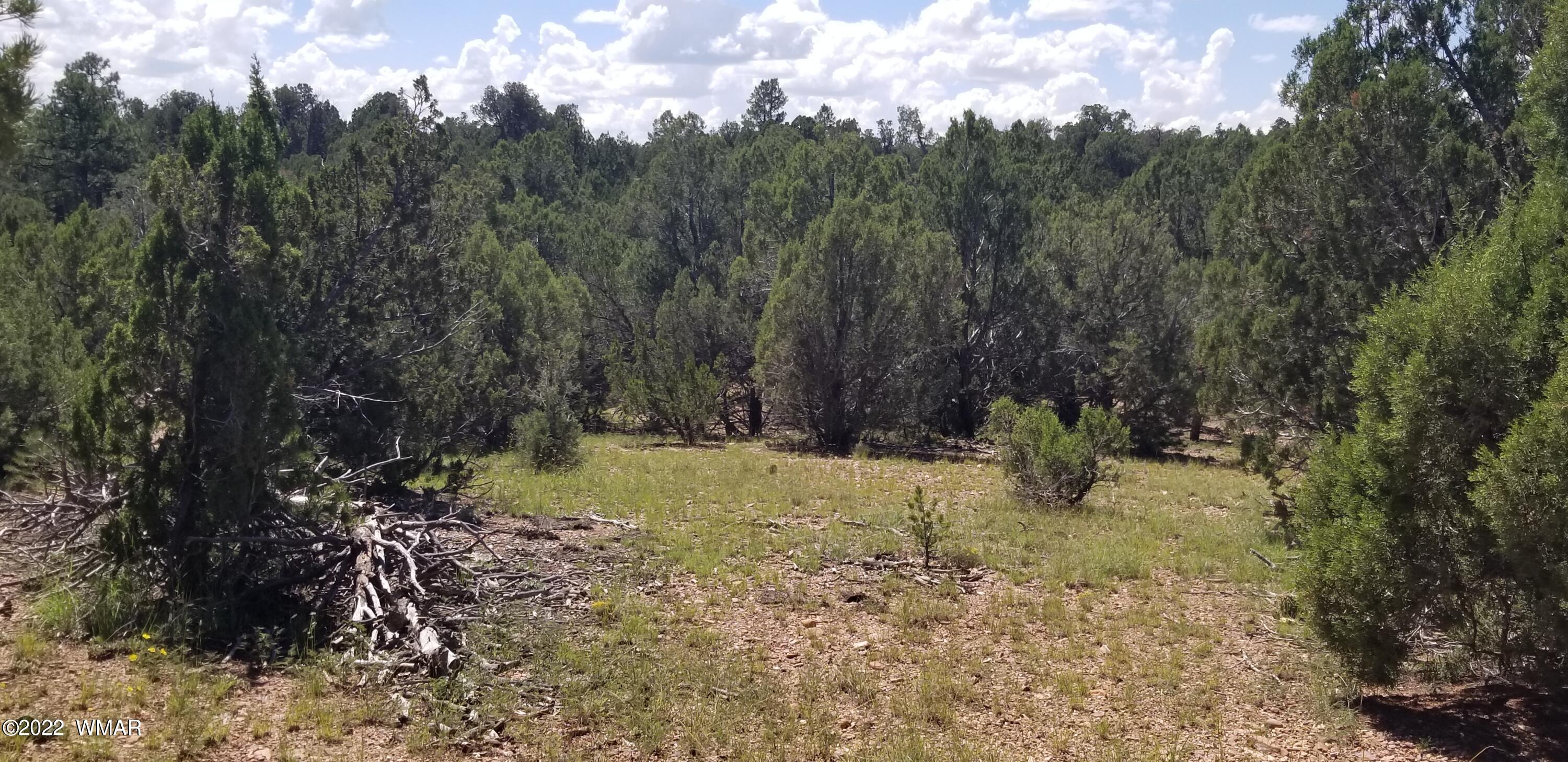 4953 Cemetery Road Clay Springs, AZ 85923 - Photo 1 of 19