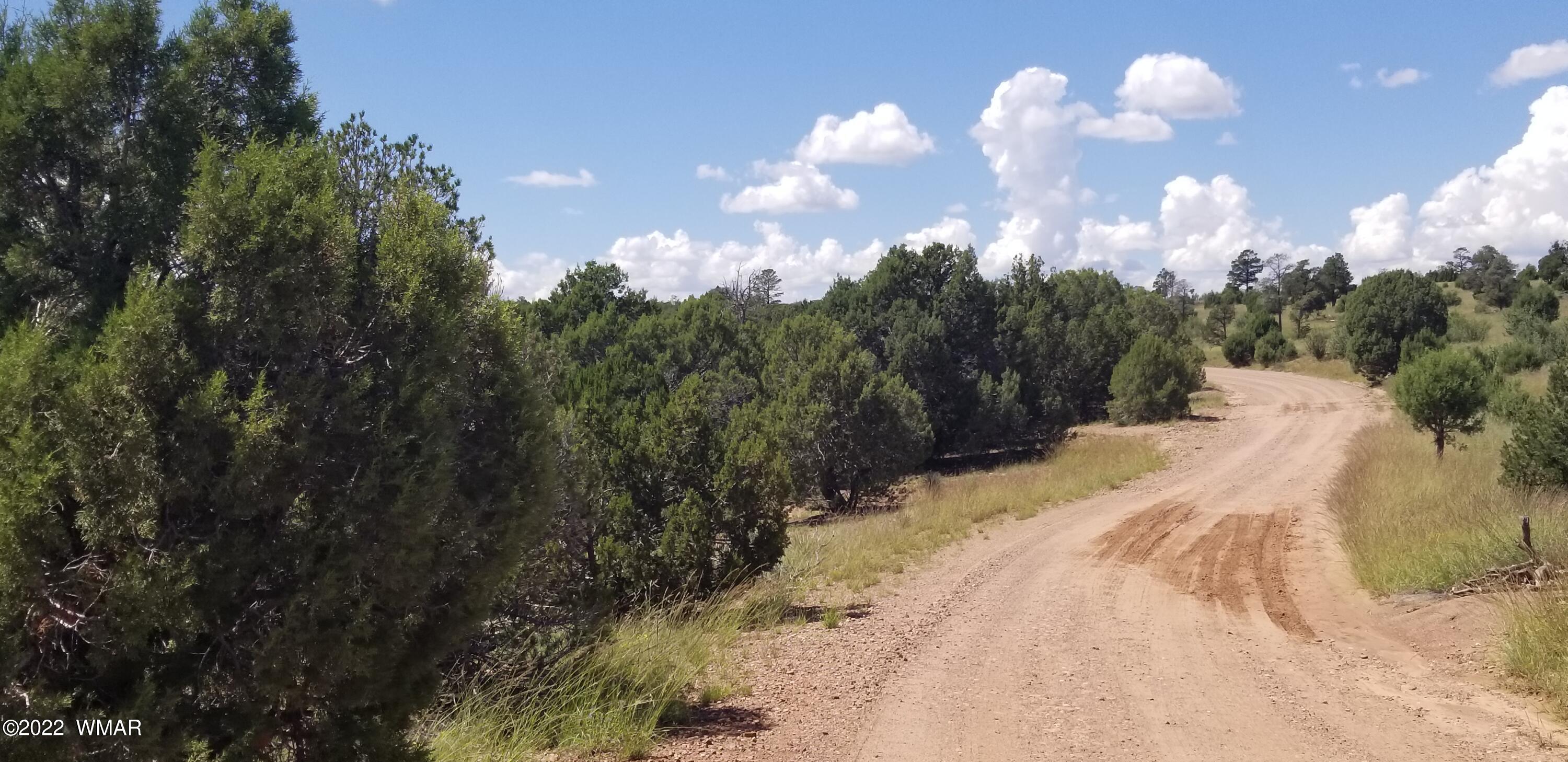 4953 Cemetery Road Clay Springs, AZ 85923 - Photo 11 of 19