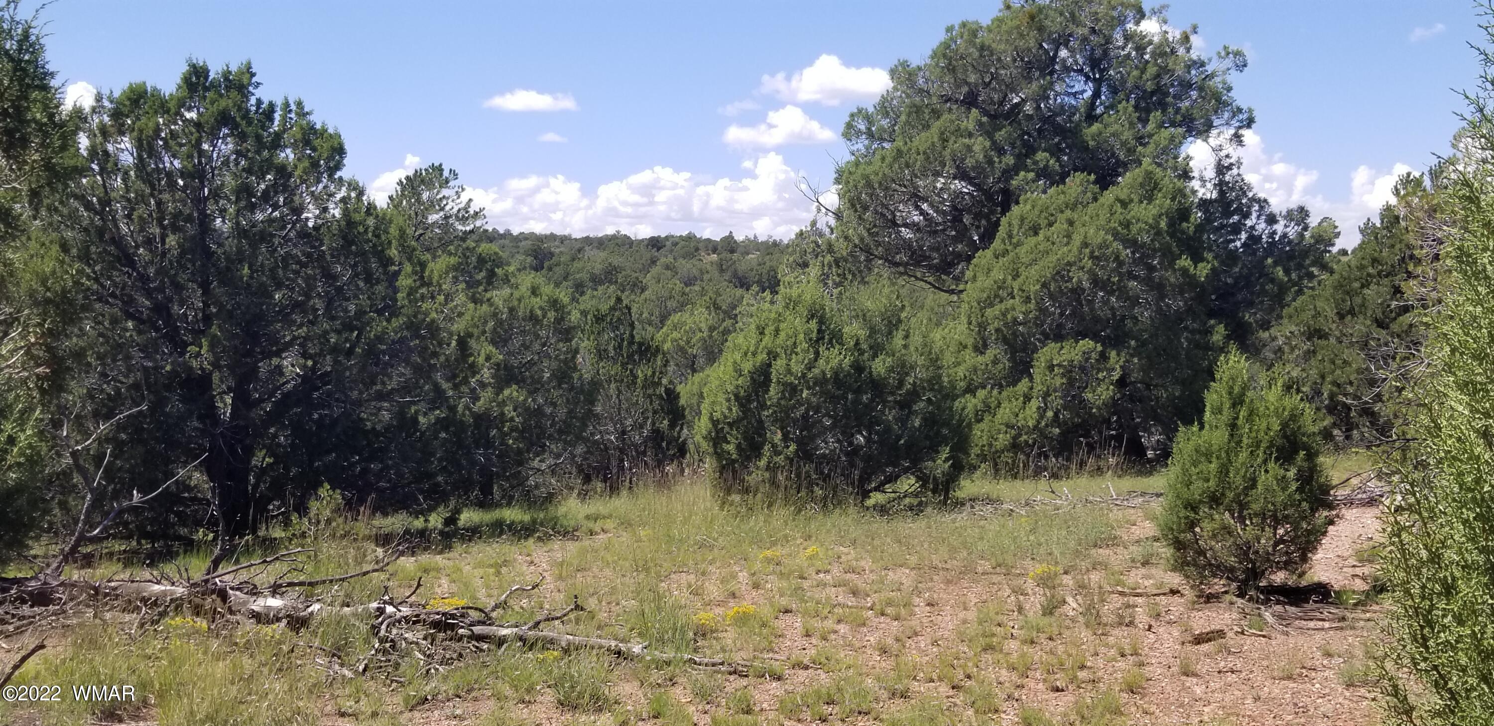 4953 Cemetery Road Clay Springs, AZ 85923 - Photo 14 of 19