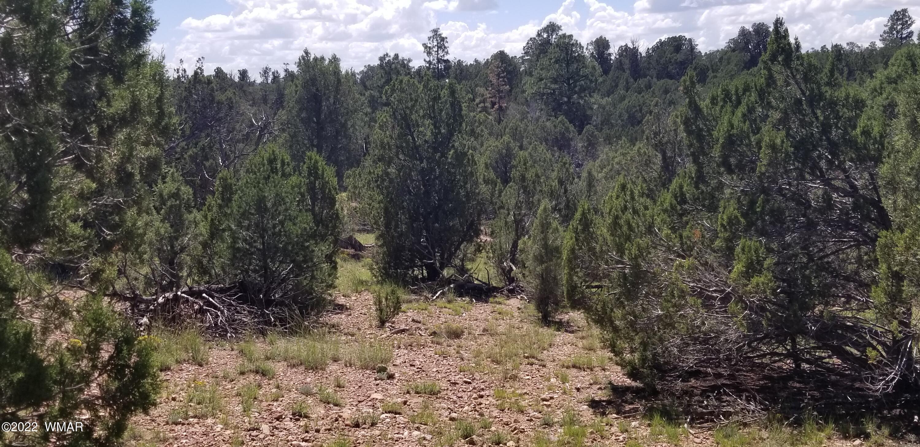 4953 Cemetery Road Clay Springs, AZ 85923 - Photo 15 of 19