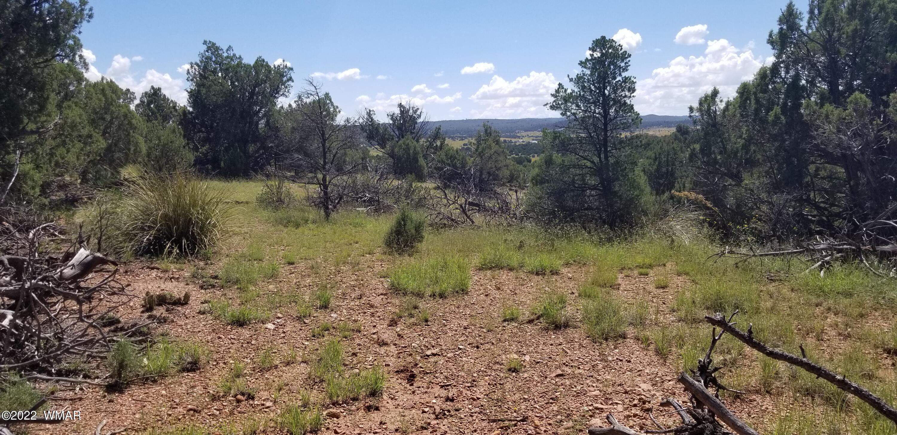 4953 Cemetery Road Clay Springs, AZ 85923 - Photo 17 of 19