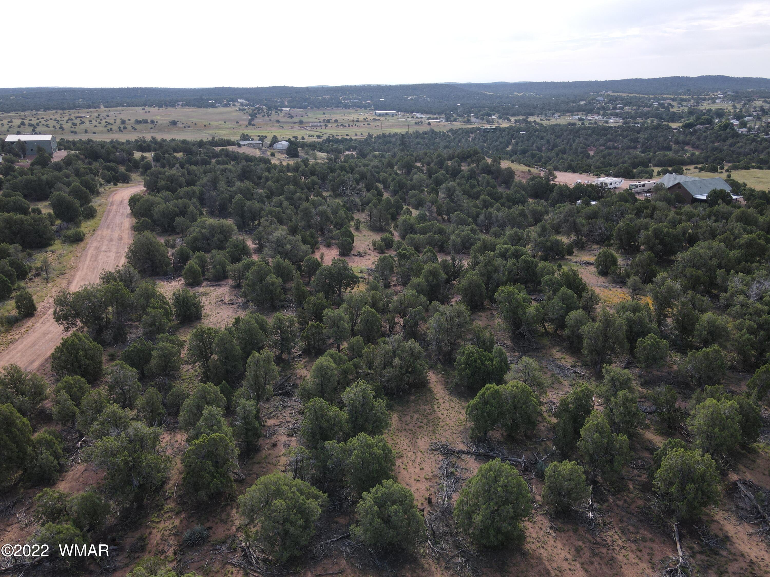 4953 Cemetery Road Clay Springs, AZ 85923 - Photo 5 of 19