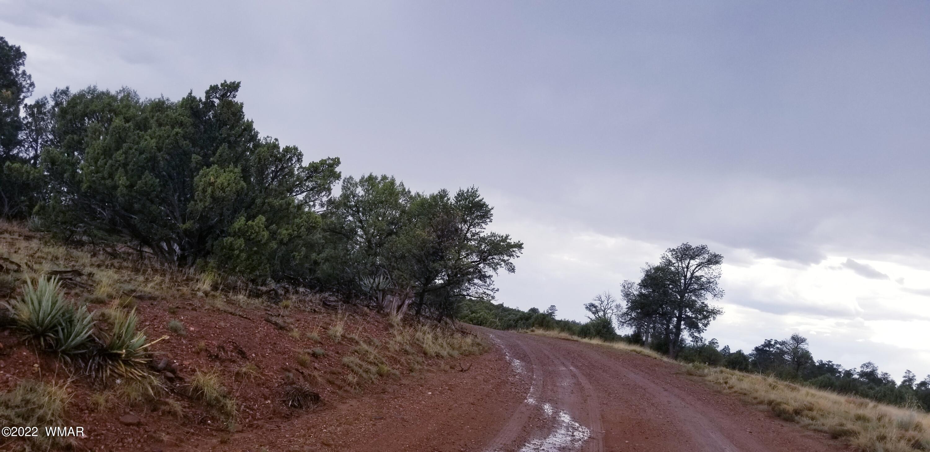 4953 Cemetery Road Clay Springs, AZ 85923 - Photo 9 of 19