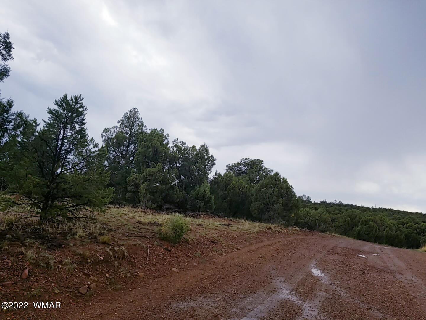 4953 Cemetery Road Clay Springs, AZ 85923 - Photo 10 of 19