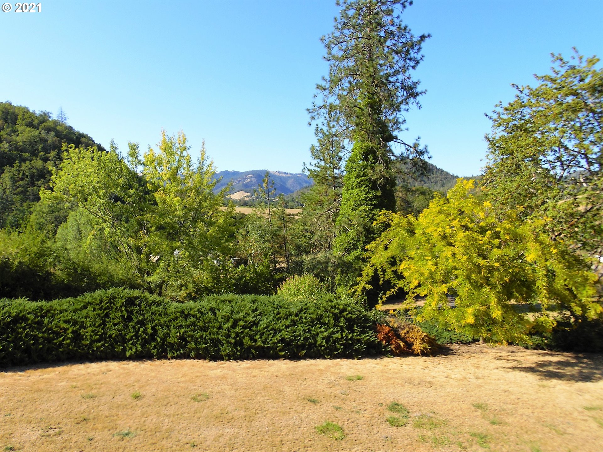 4235 Shoestring Road Riddle, OR 97469 - Photo 22 of 30 a view of a bunch of flowers