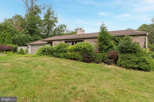 a view of a backyard with plants and large trees