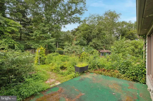 a view of a yard with plants
