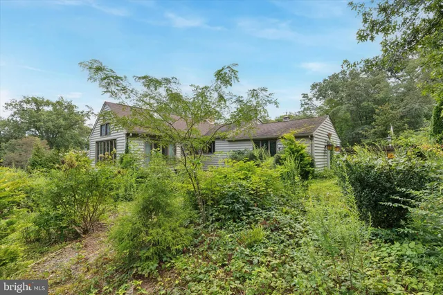 a view of a garden with a fountain