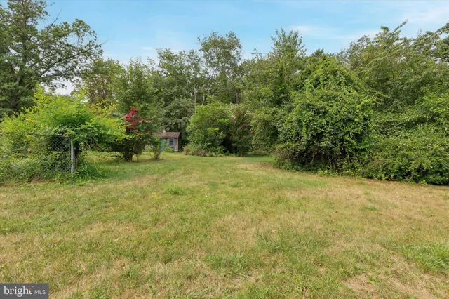 a view of outdoor space with trees all around