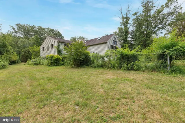 a view of a big yard with plants and large trees