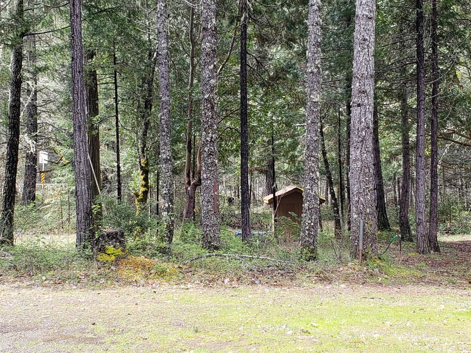 2000 Thompson Creek Road Selma, OR 97538 - Photo 6 of 6 Additional Photo