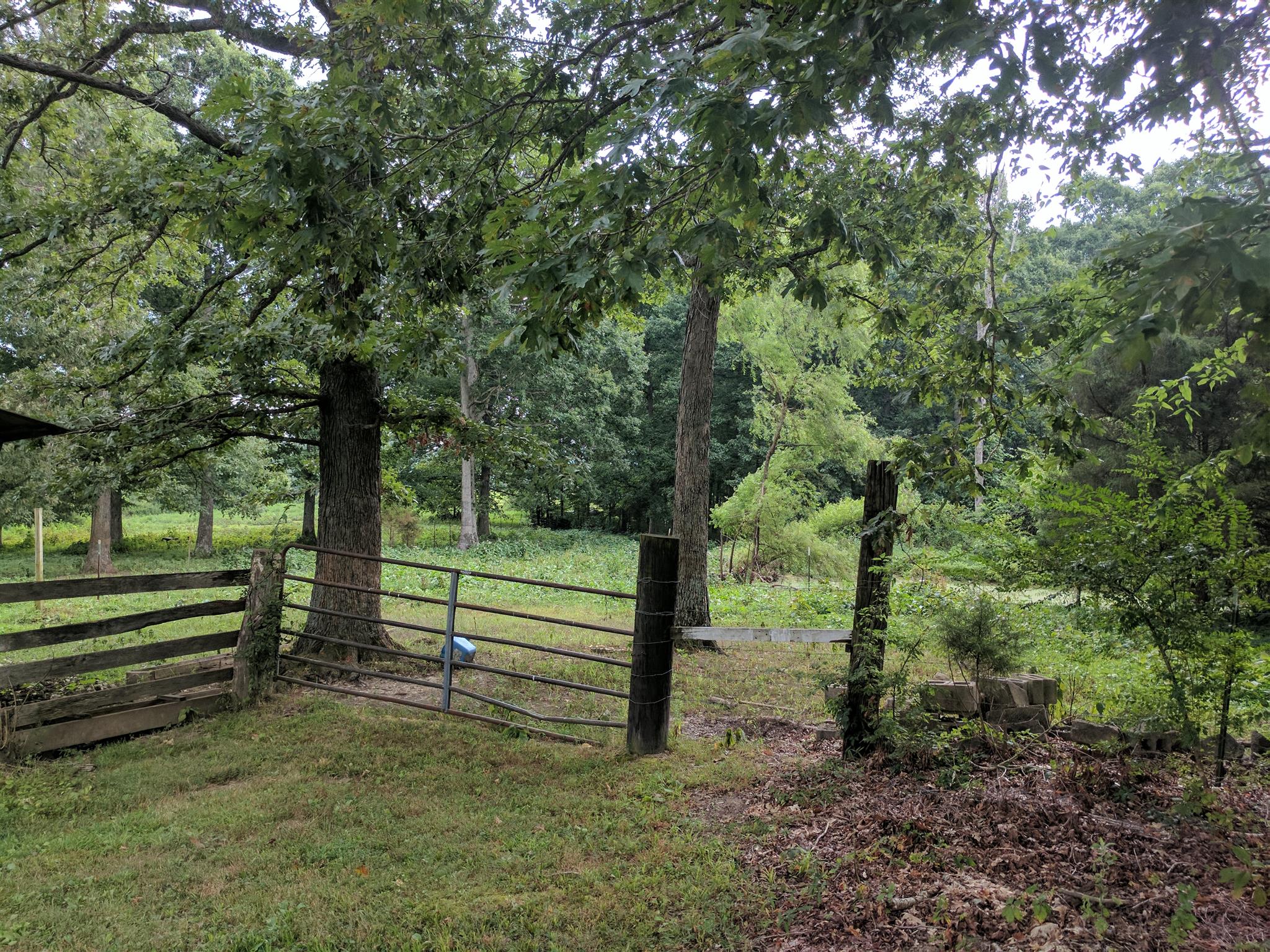 489 Ab Wade Road Portland, TN 37148 - Photo 19 of 23 a view of a yard with wooden fence and a tree