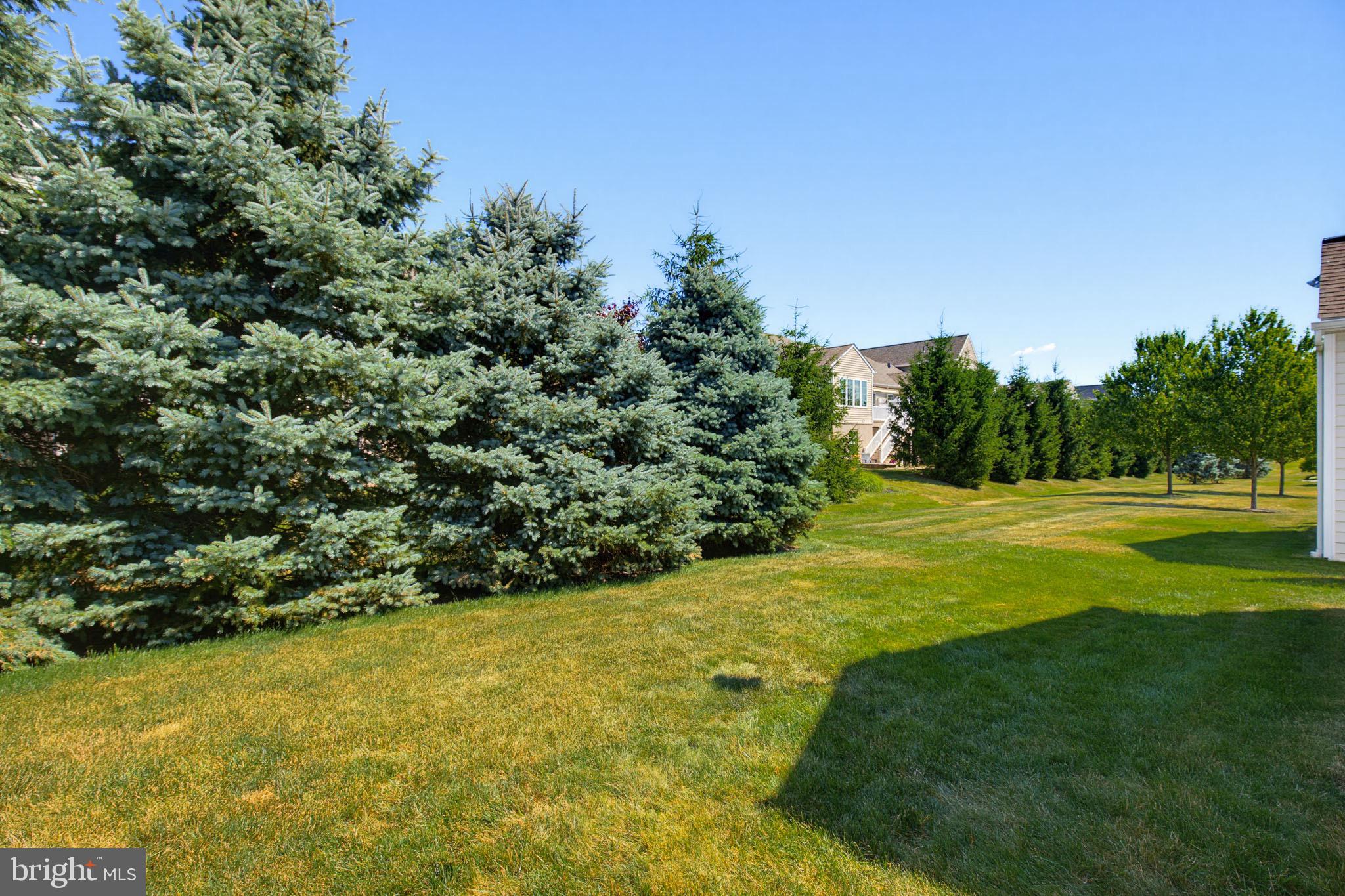 347 English Ivy Drive Lititz, PA 17543 - Photo 37 of 41