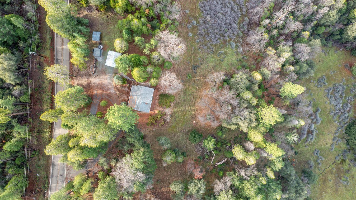 24877 Shake Ridge Road Volcano, CA 95689 - Photo 28 of 60