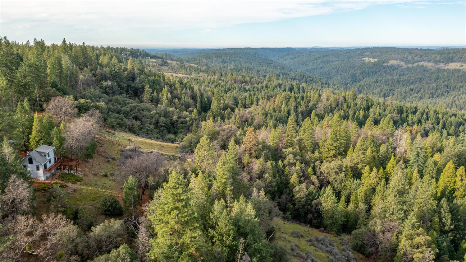 24877 Shake Ridge Road Volcano, CA 95689 - Photo 4 of 60