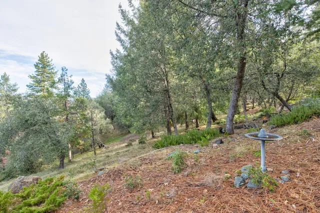 $325,000 | 24877 Shake Ridge Road, Volcano, CA 95689