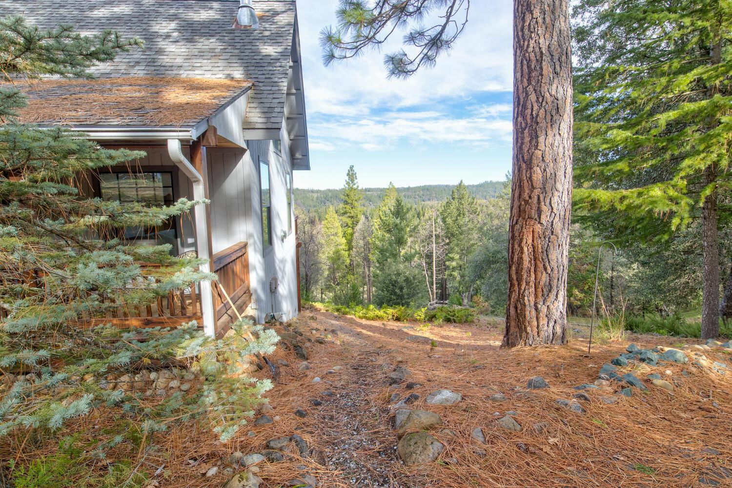 24877 Shake Ridge Road Volcano, CA 95689 - Photo 46 of 60