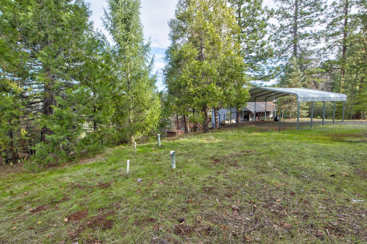 24877 Shake Ridge Road Volcano, CA 95689 - Photo 48 of 60