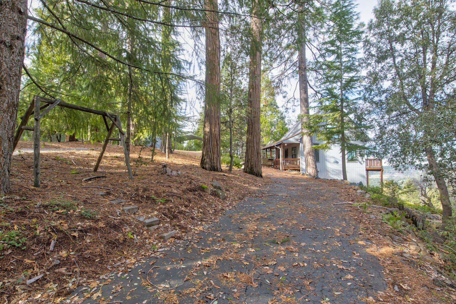 24877 Shake Ridge Road Volcano, CA 95689 - Photo 53 of 60