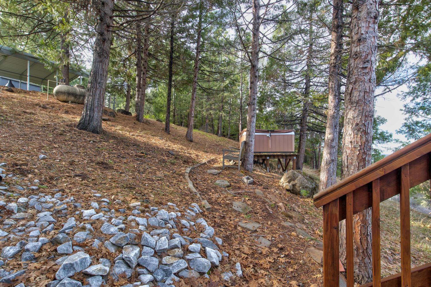 24877 Shake Ridge Road Volcano, CA 95689 - Photo 57 of 60