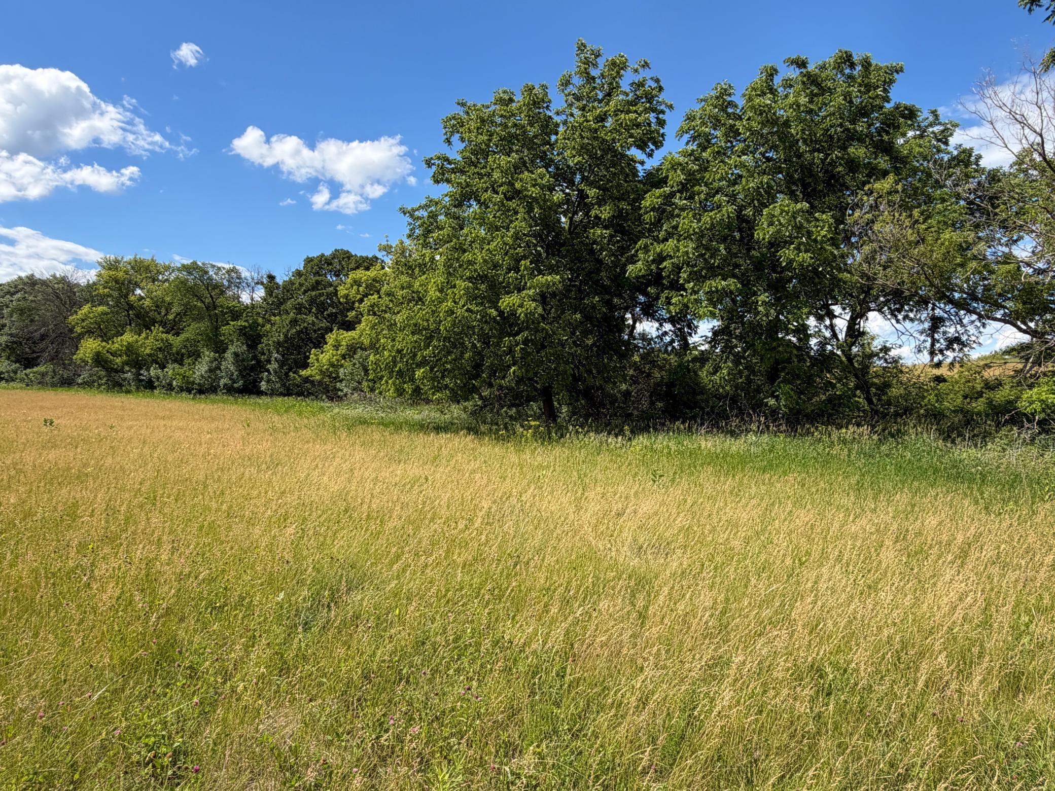 Tbd 48th Street Northeast Rochester, MN 55906 - Photo 5 of 27