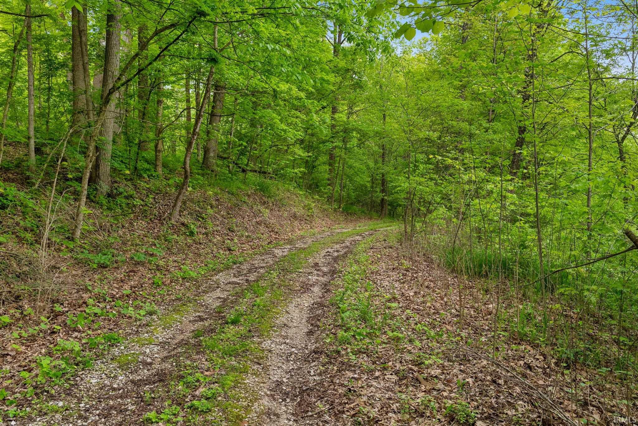 13960 North Rock Run Church Road Rosedale, IN 47874 - Photo 11 of 50