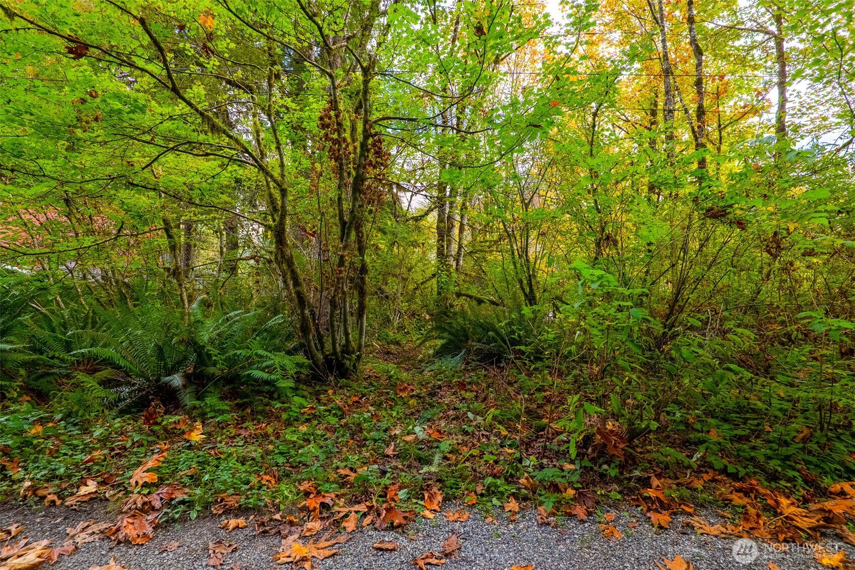 0 Northeast Index Creek Road Gold Bar, WA 98251 - Photo 11 of 15