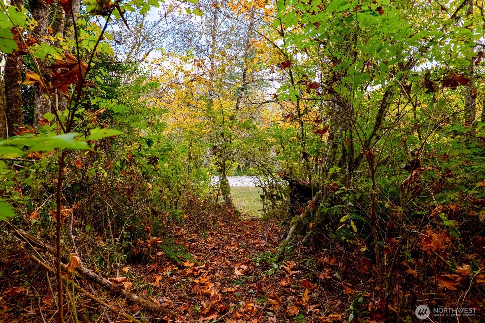 0 Northeast Index Creek Road Gold Bar, WA 98251 - Photo 12 of 15
