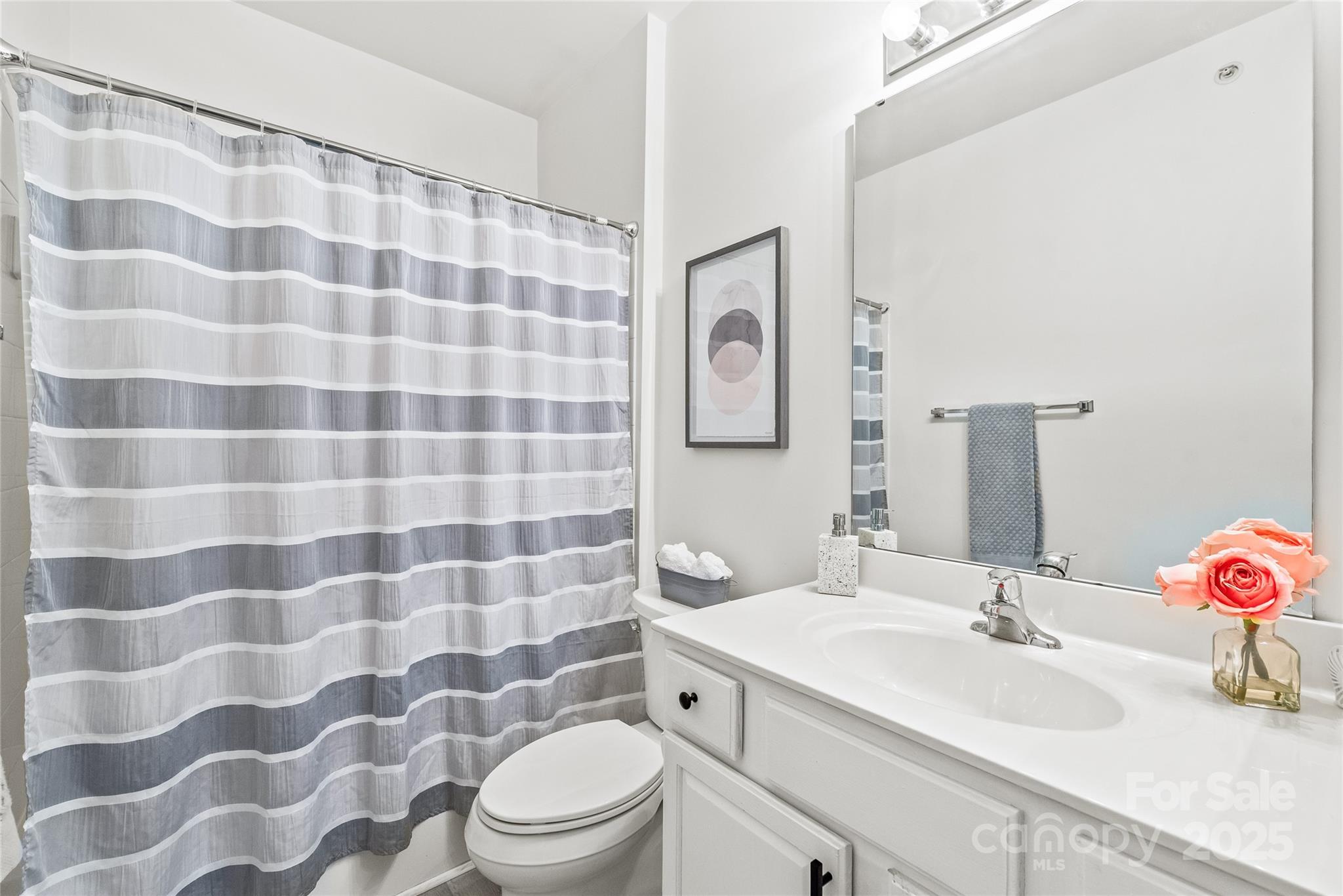 12357 Copper Mountain Boulevard Charlotte, NC 28277 - Photo 21 of 36 a bathroom with a sink and a mirror