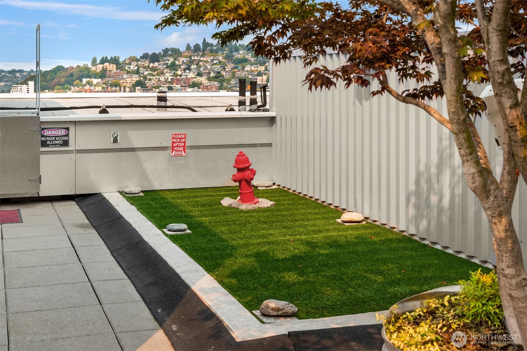 2911 2nd Avenue, Unit 310 Seattle, WA 98121 - Photo 35 of 40 a view of a backyard