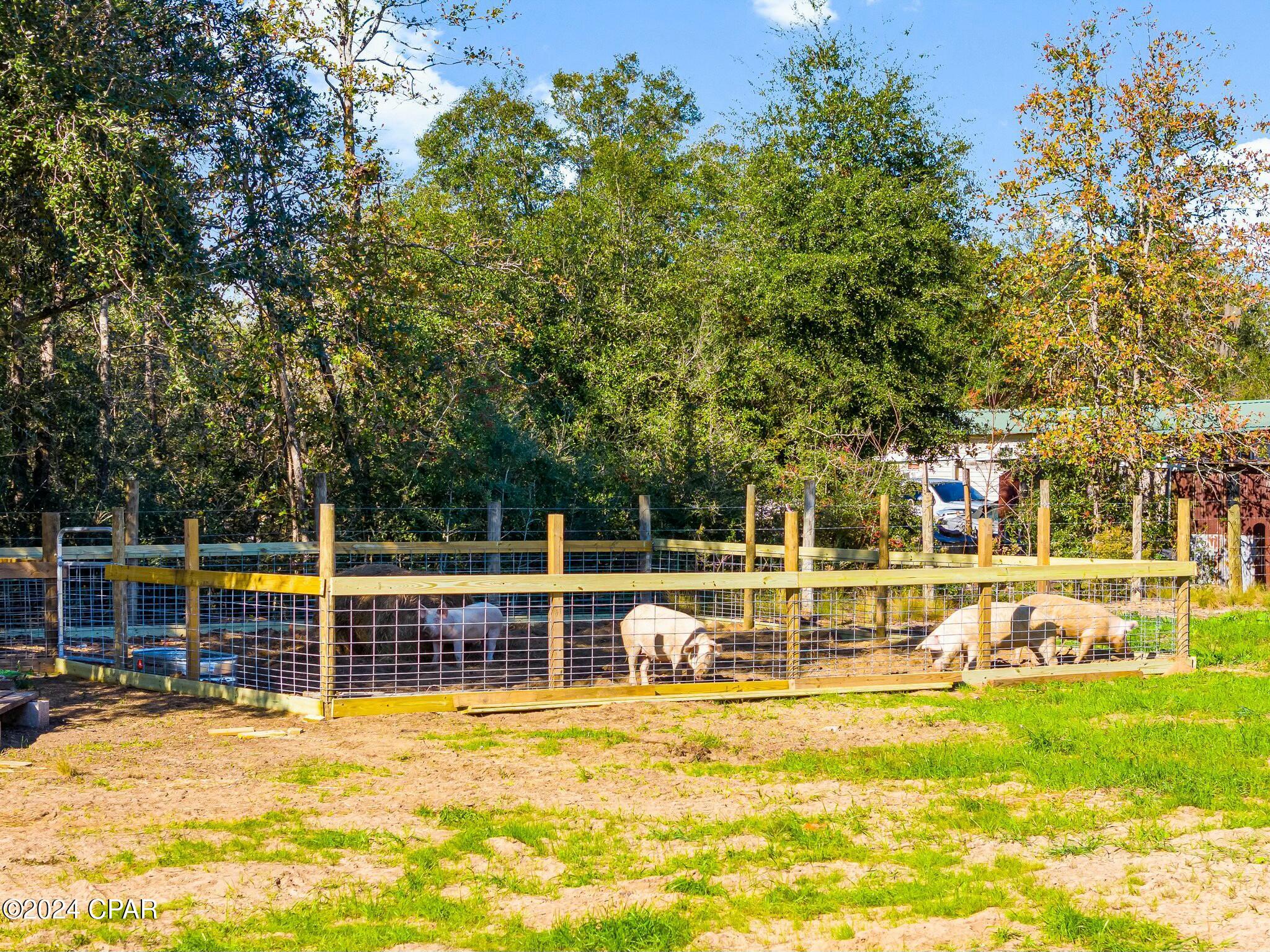 10917 Lawrence Road Fountain, FL 32438 - Photo 34 of 64