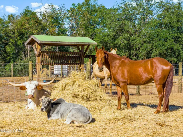 $359,900 | 10917 Lawrence Road, Fountain, FL 32438