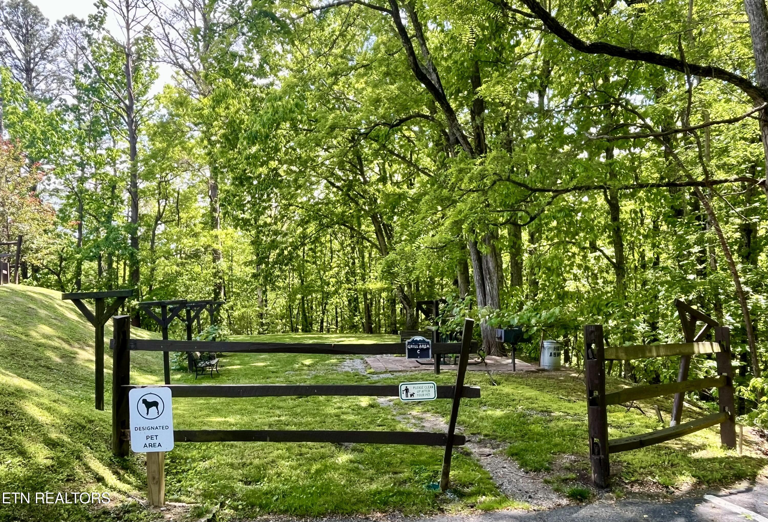 1081 Cove Road, Unit 612 Sevierville, TN 37876 - Photo 12 of 21 Picnic