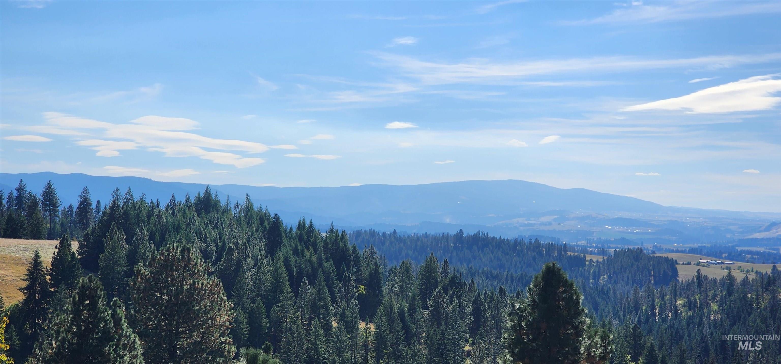 Tbd Red Fir Road Kooskia, ID 83539 - Photo 13 of 34