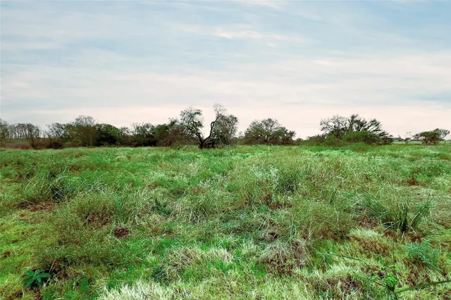 a huge green field with lots of trees
