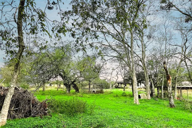 a view of green field with trees in the background