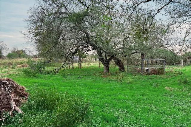a view of backyard with green space