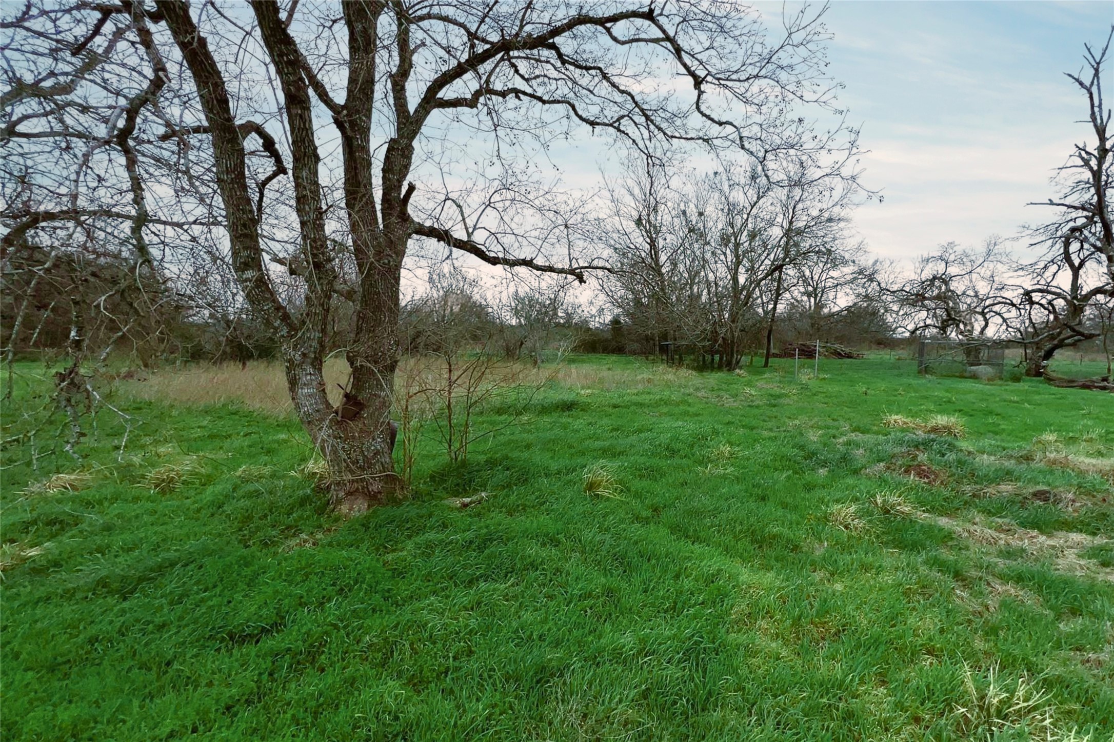 38440 Fisk Lane Pattison, TX 77423 - Photo 14 of 34 a view of backyard with green space