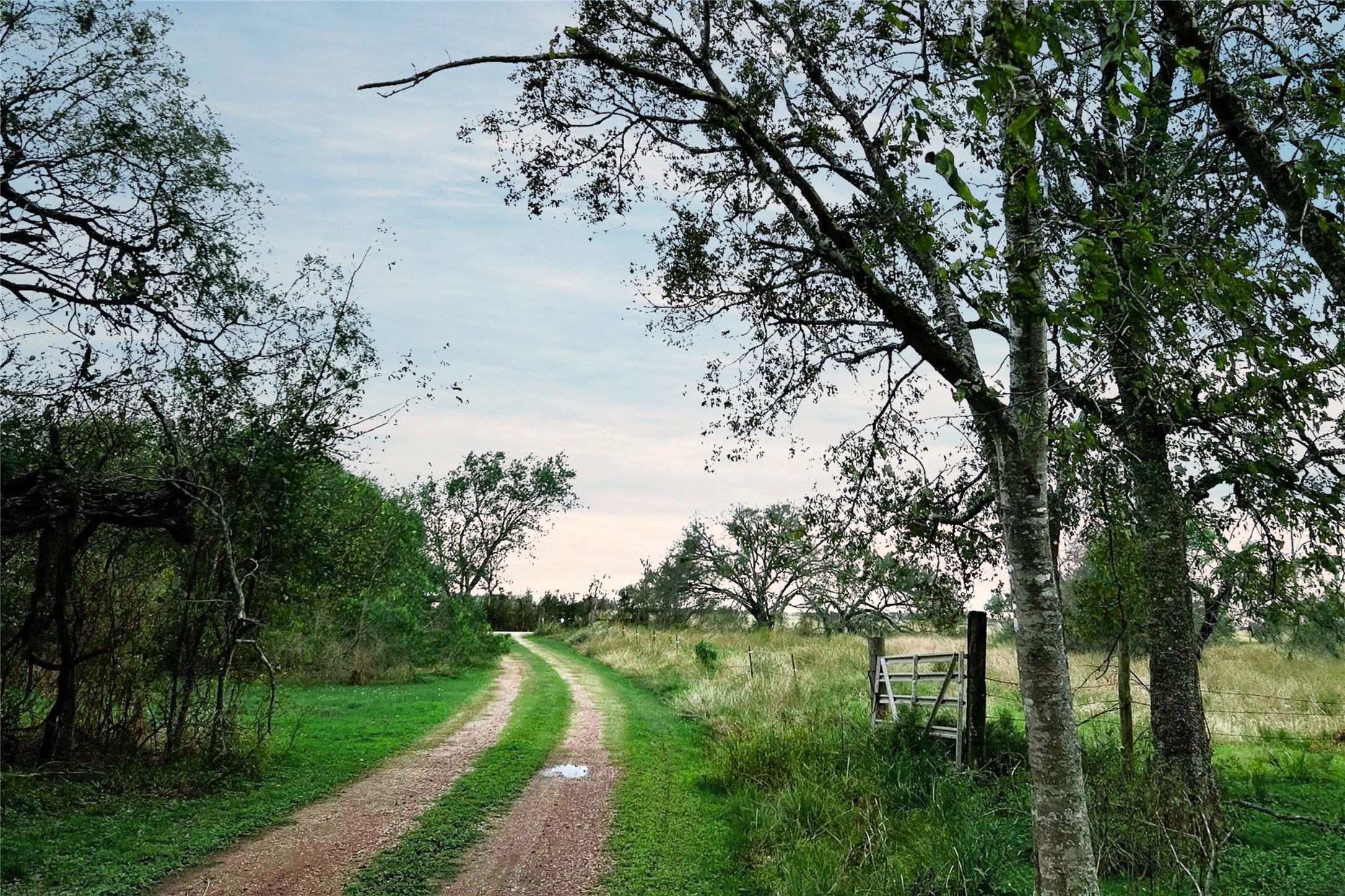 38440 Fisk Lane Pattison, TX 77423 - Photo 3 of 34 a view of a lake with a yard