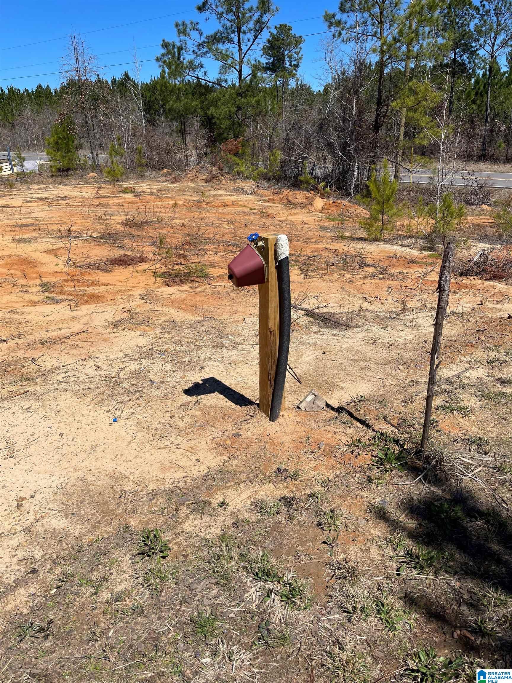 3757 County Road 107 Randolph, AL 36792 - Photo 8 of 8