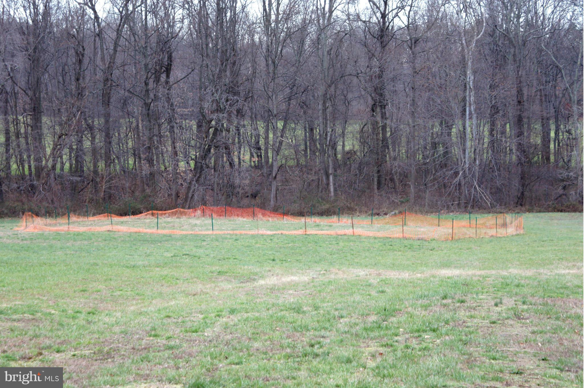 3650 Muddy Creek Road Edgewater, MD 21037 - Photo 3 of 4 Exterior (General)