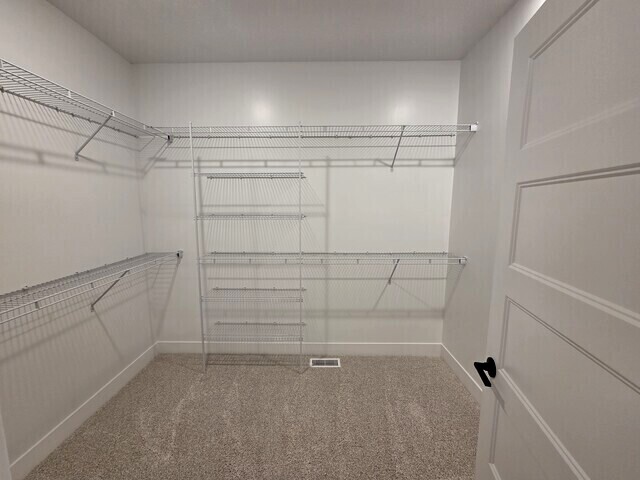 103 Bowz Drive Downs, IL 61736 - Photo 18 of 33