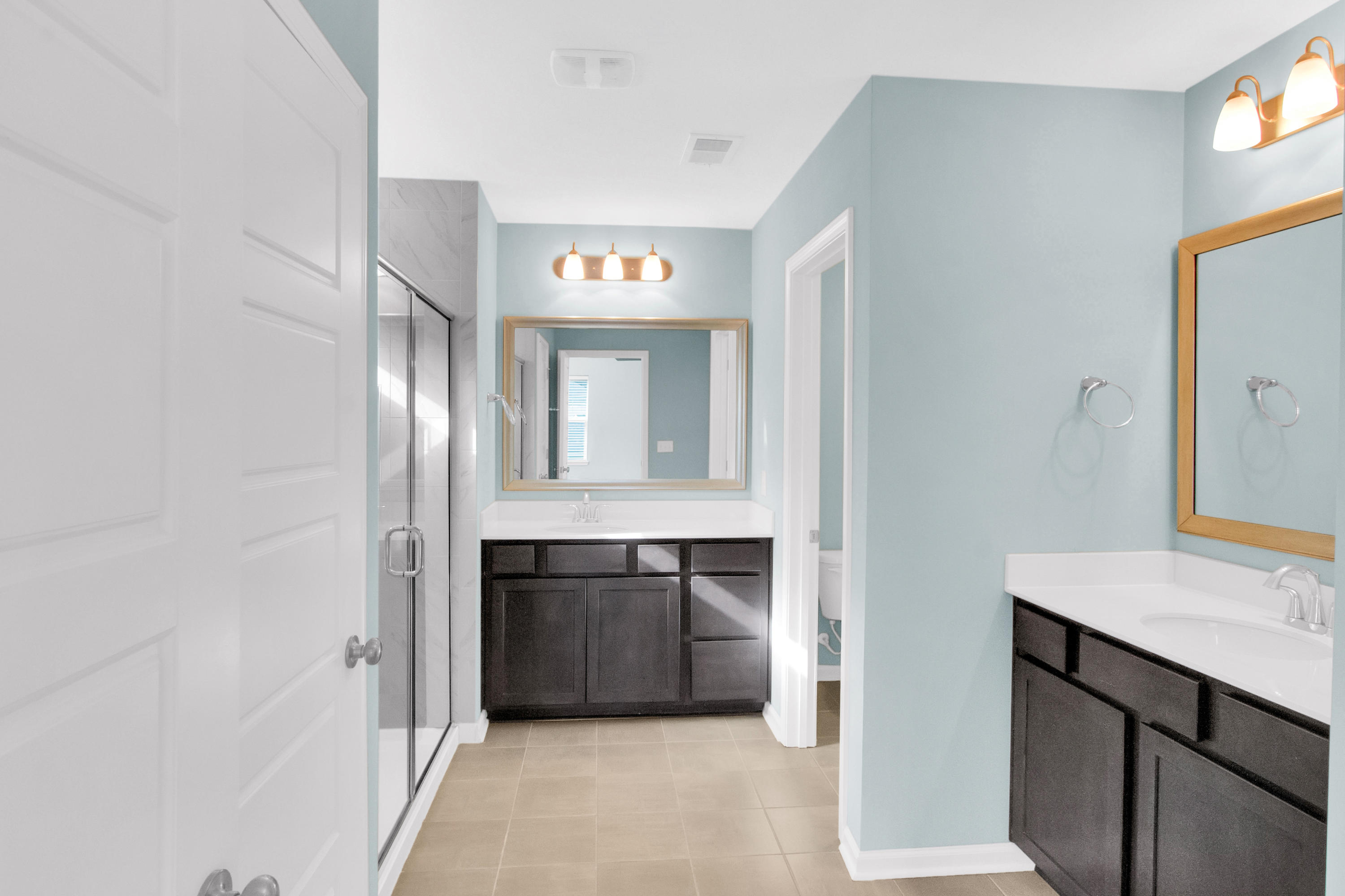 219 Saxony Loop Summerville, SC 29486 - Photo 16 of 29 Master Bath