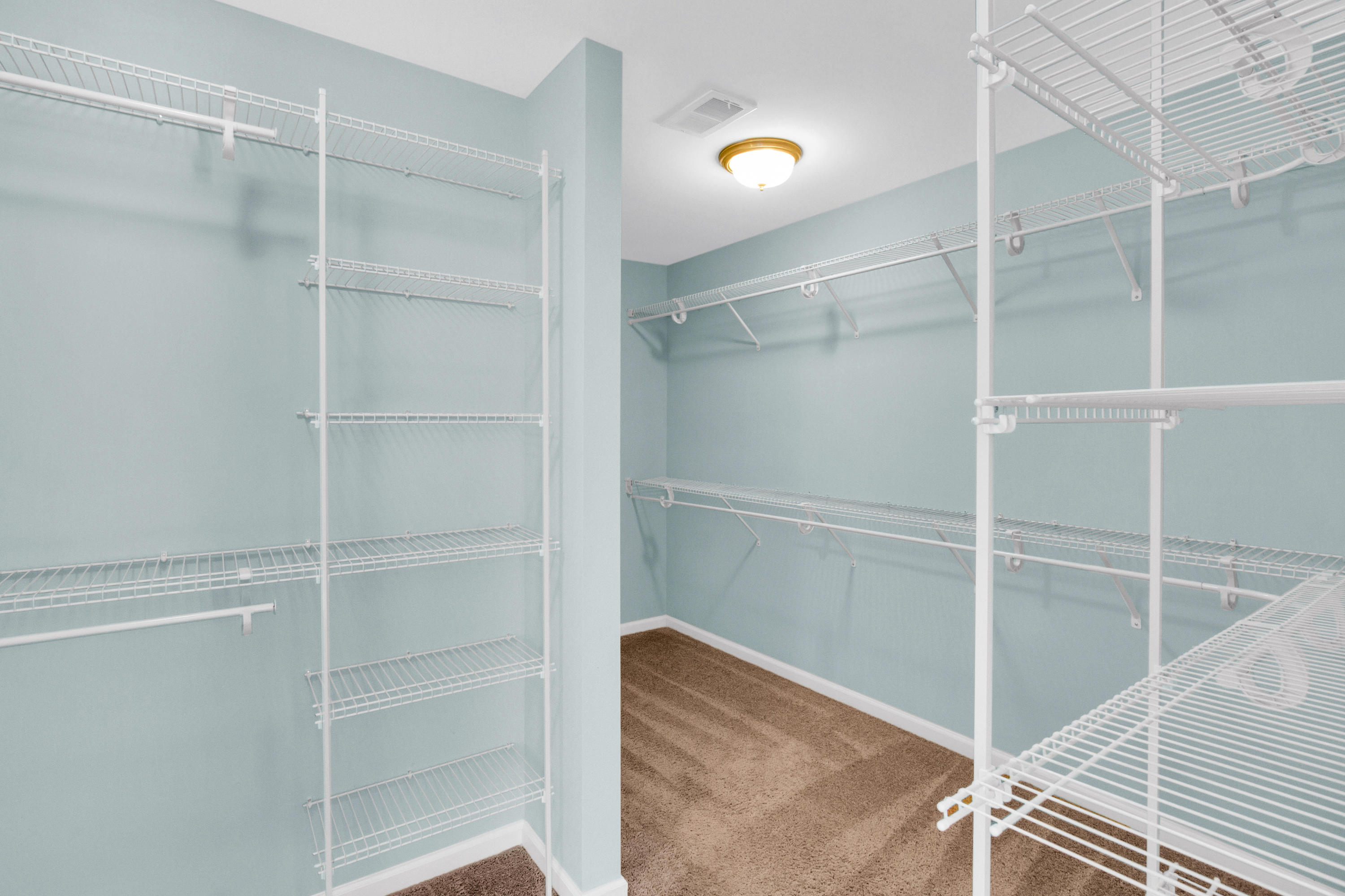 219 Saxony Loop Summerville, SC 29486 - Photo 17 of 29 Huge Master Walk-in Closet