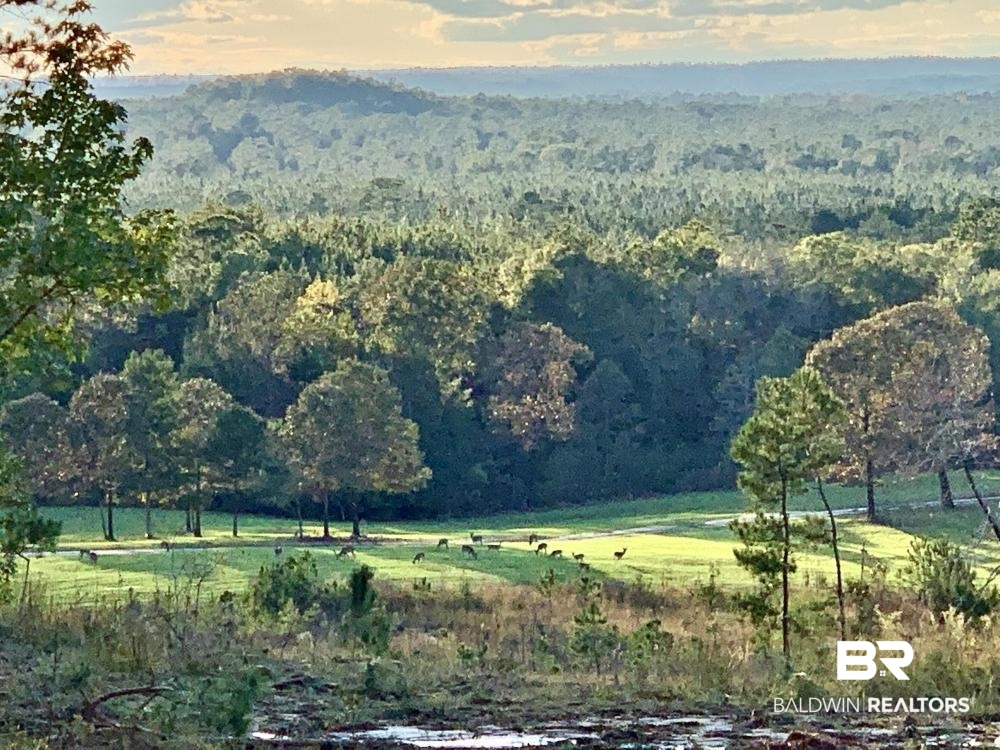 0 Private Road Millry, AL 36558 - Photo 49 of 50