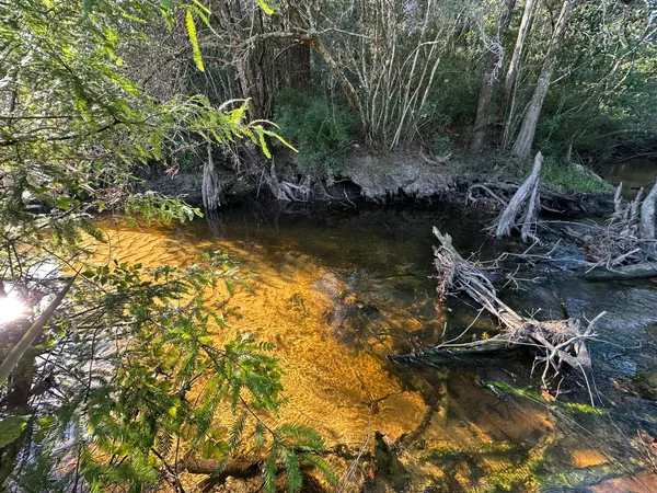 a view of lake with green space
